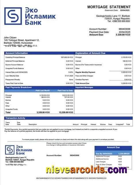 Kyrgyzstan EcoIslamicBank mortgage statement Word and PDF template